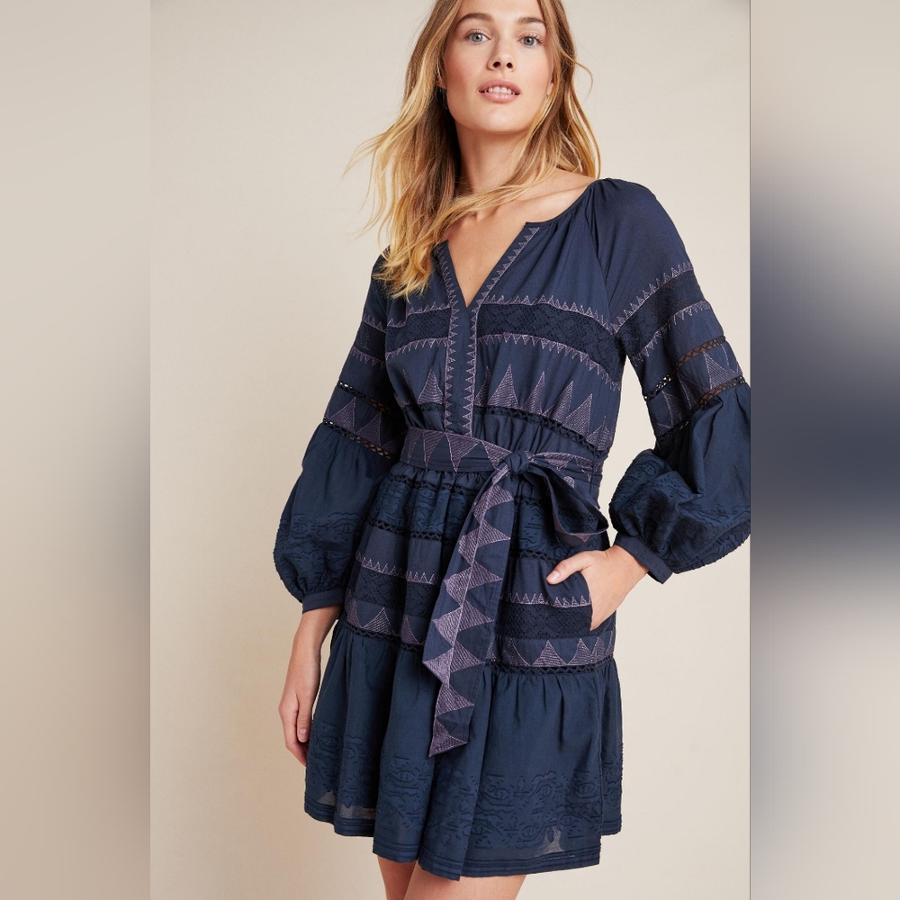 Anthropologie Skye Embroidered Mini Dress